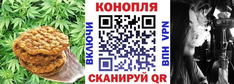купить наркоту  Чегем  Еда ТГК конопля 