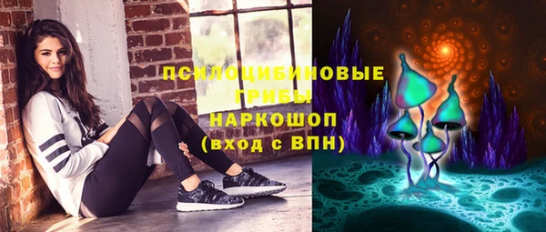 mdpv Белокуриха