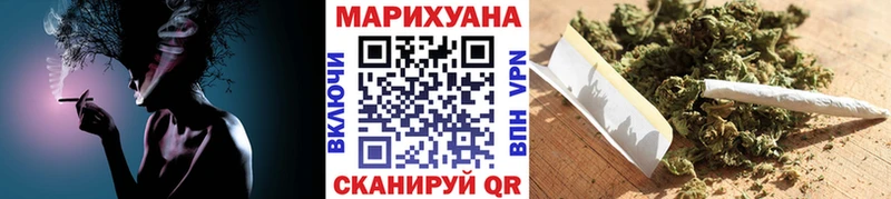 Каннабис индика Чегем