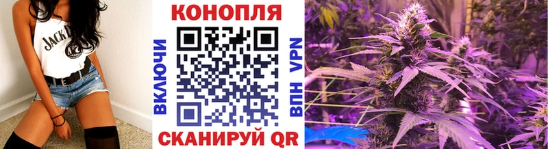 Марихуана SATIVA & INDICA  блэк спрут онион  Чегем 